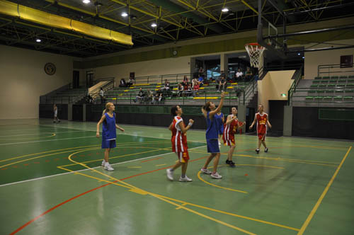 sbbl (94)